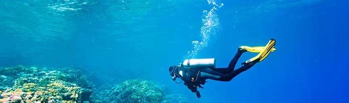 مربی غواصی محمدرضا چغامه