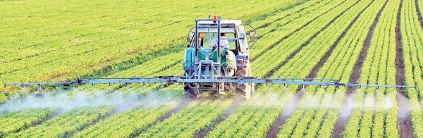 شرکت سبز رویش خراسان