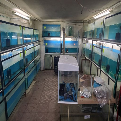 آکواریوم قربانی