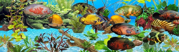 آکواریوم قربانی