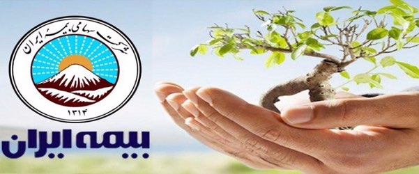 نمایندگی مولود سخائی بیمه ایران